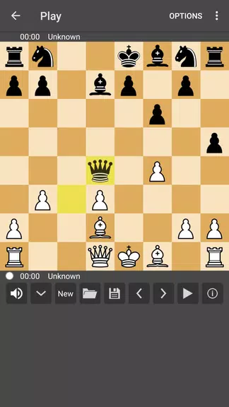 ChessBack Screenshot1