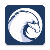 FALCON VPN - Free Proxy, Fastest VPN APK