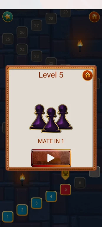 Chess Puzzles - Chess Game Screenshot3