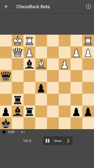 ChessBack Screenshot2