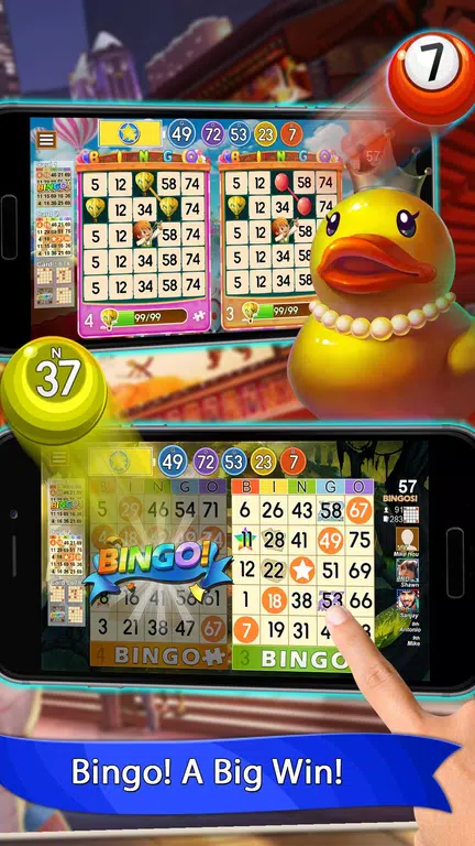 Bingo Blaze - Bingo Games Screenshot1