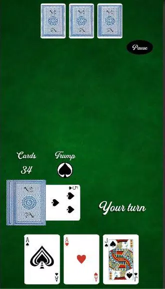 La Briscola - Card Game Screenshot3