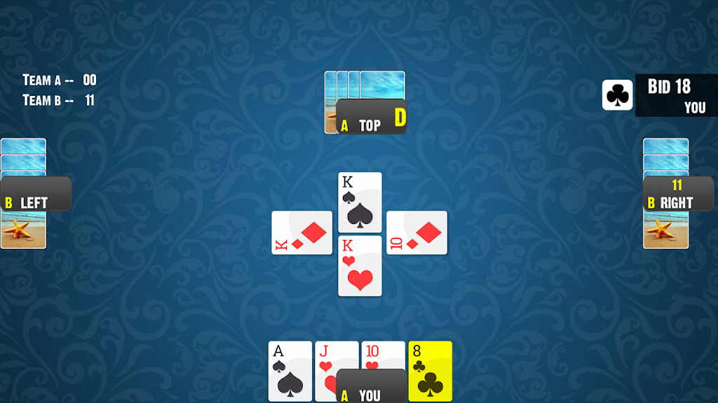 28 Card Game:Offline Card Game Screenshot1