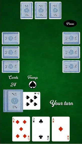 La Briscola - Card Game Screenshot4