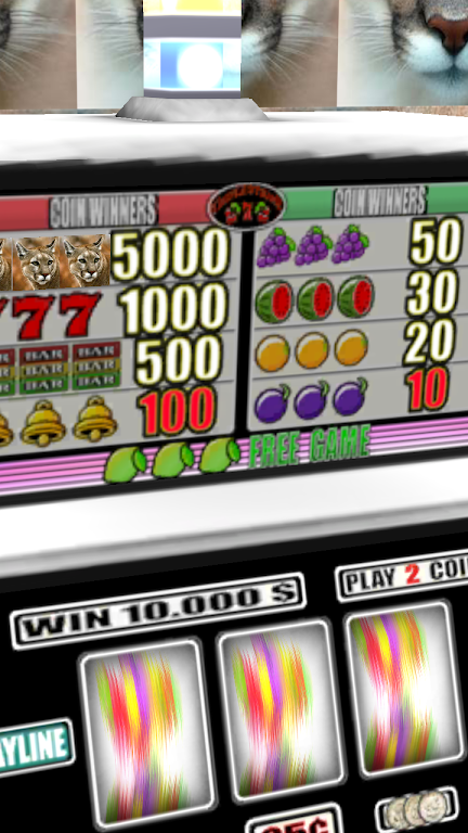 Cougar Slots - Free Screenshot2