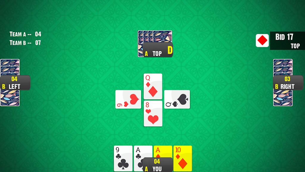 28 Card Game:Offline Card Game Screenshot2