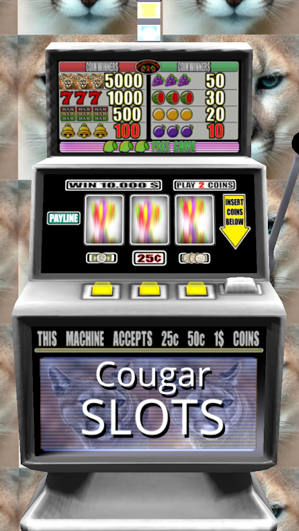 Cougar Slots - Free Screenshot1