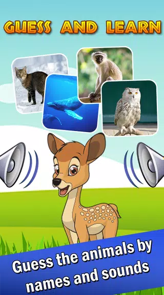 Guess animal sounds and names Screenshot4