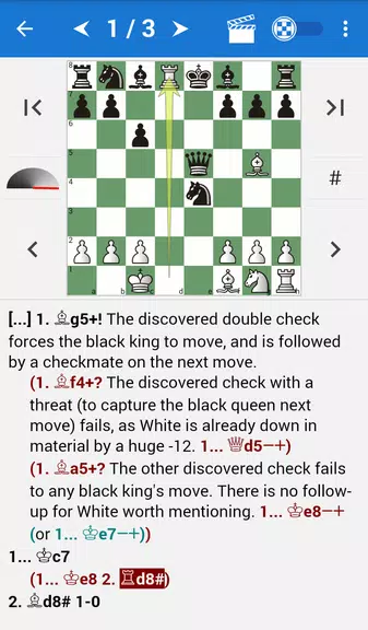 Encyclopedia Chess Informant 2 Screenshot1