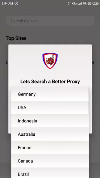 Proxy Browser for Android - Unblock Websites VPN Screenshot3