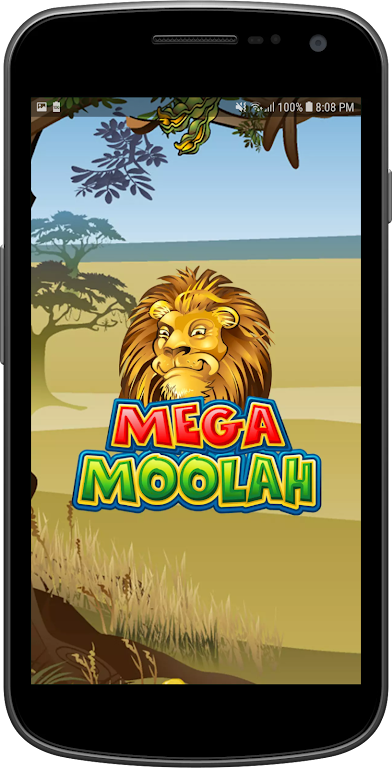 Mega Moolah Screenshot3