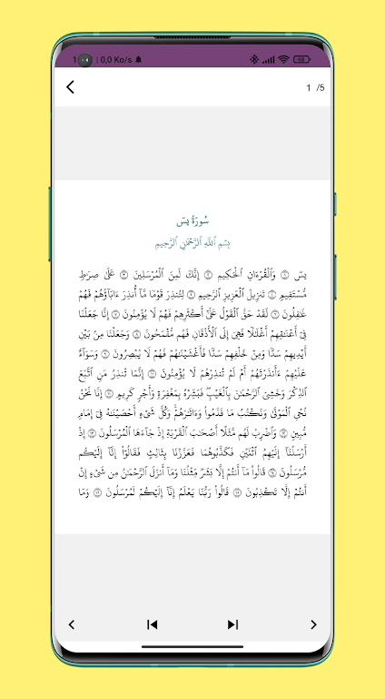 سورة ياسين مكتوبة Screenshot1