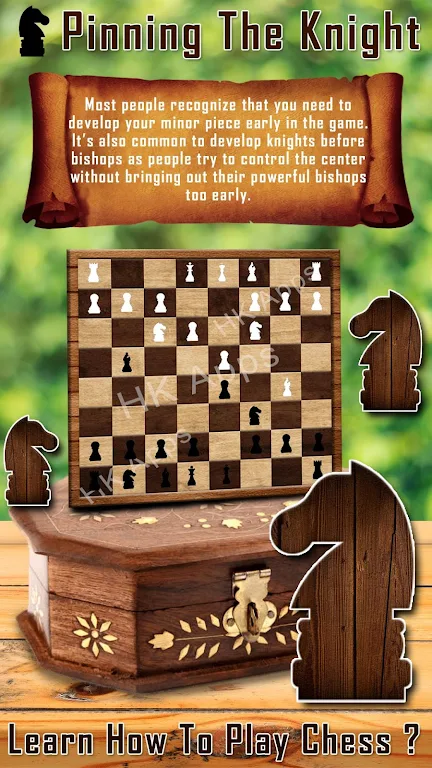 Chess Guide : Tips & Tricks Screenshot4