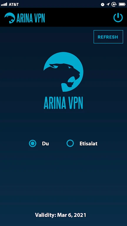 ARINA VPN Screenshot2