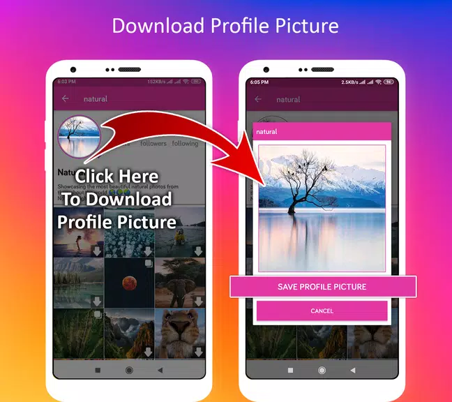 Profile Picture Downloader for Instagram Screenshot3