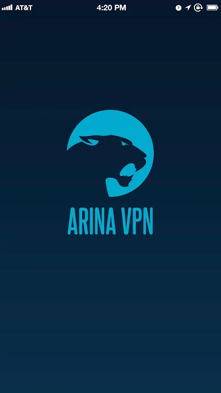 ARINA VPN Screenshot1