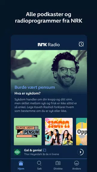 NRK Radio Screenshot1