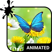 Summer Mood Wallpaper APK