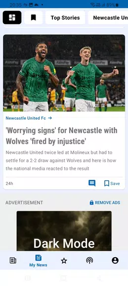 Newcastle Chronicle Screenshot2