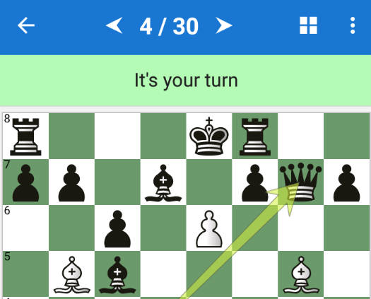 Chess Middlegame V Screenshot1