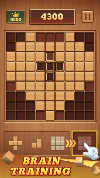 Wood Block 99 - Sudoku Puzzle Screenshot3