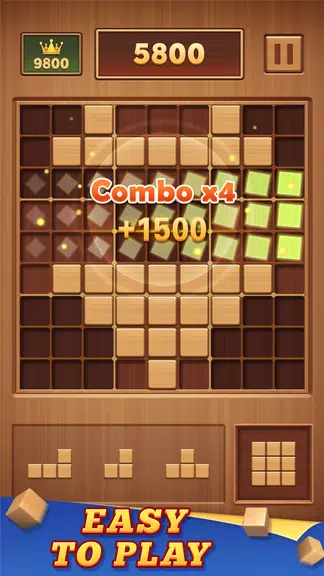 Wood Block 99 - Sudoku Puzzle Screenshot1