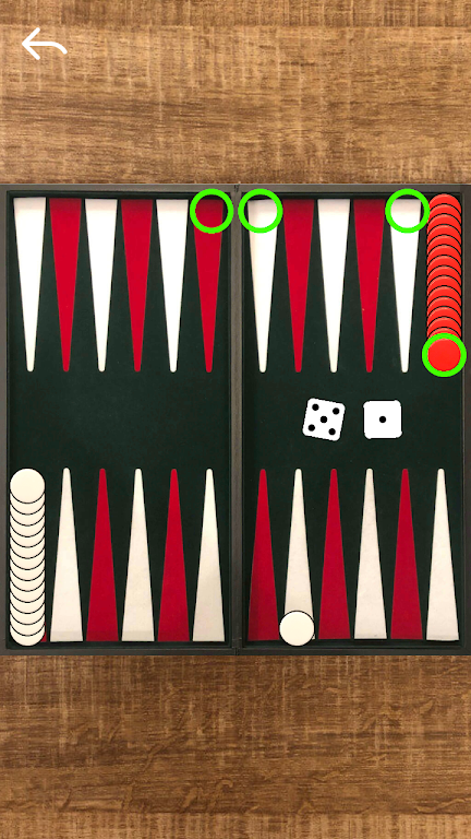 Narde Backgammon Screenshot2