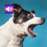 Dog: Sounds & Ringtones APK