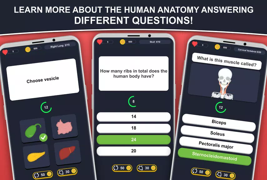 Anato Trivia -  Quiz Anatomy Screenshot1