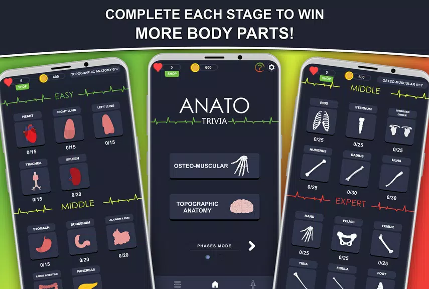 Anato Trivia -  Quiz Anatomy Screenshot3