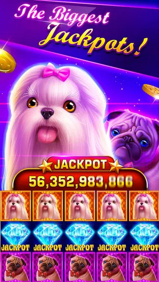 Slots:Irish luck slot machines Screenshot3