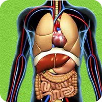 Human Anatomy Pro Trivia APK