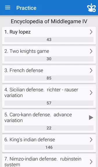 Chess Middlegame IV Screenshot1