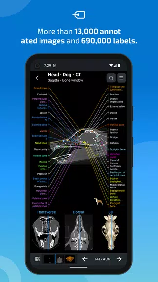 vet-Anatomy Screenshot2
