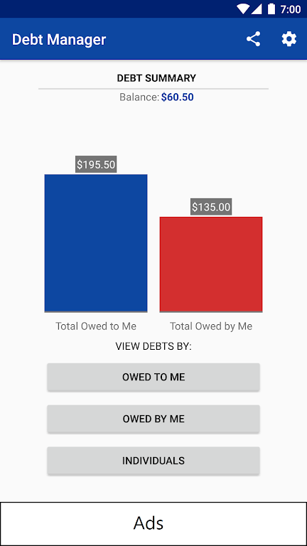 Debt Manager and Tracker Screenshot1