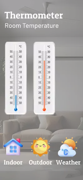 Thermometer Room Temperature Screenshot2