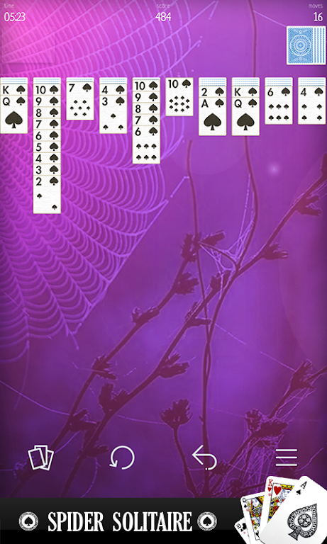 Card Spider Screenshot2