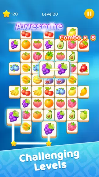 Tile Puzzle: Pair Match Games Screenshot3