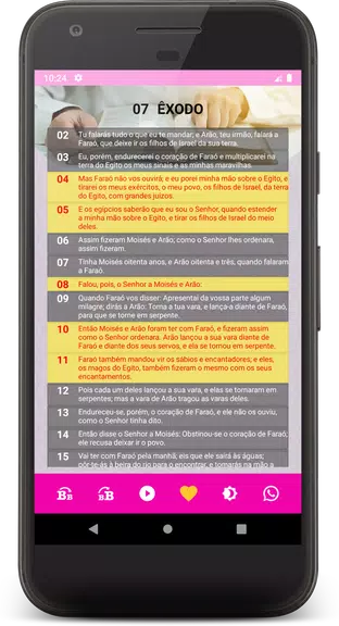 Bíblia e Harpa Cristã Feminina Screenshot4