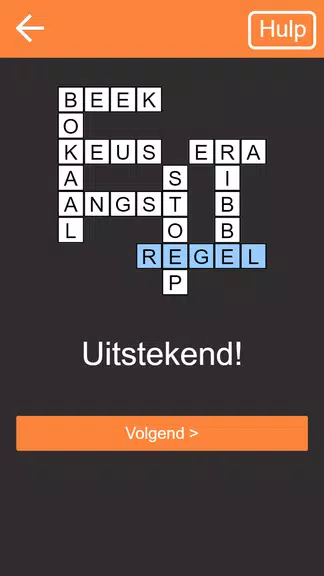 Kruiswoordpuzzel Nederlands Screenshot3