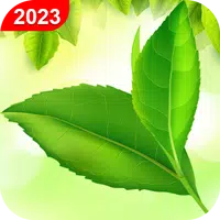 Green Leaf Live Wallpaper HD APK