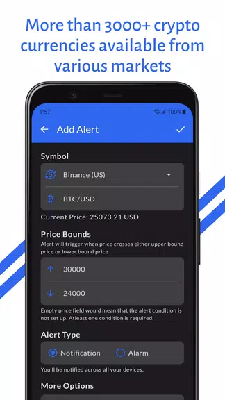 Crypto Price Alert(with Alarm) Screenshot3