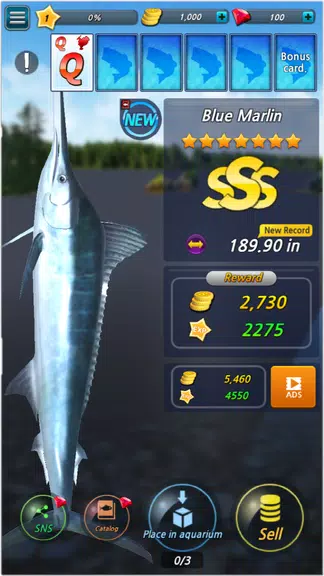 Fishing Season :River To Ocean Screenshot3