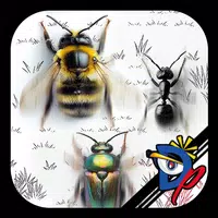 Insect Race APK