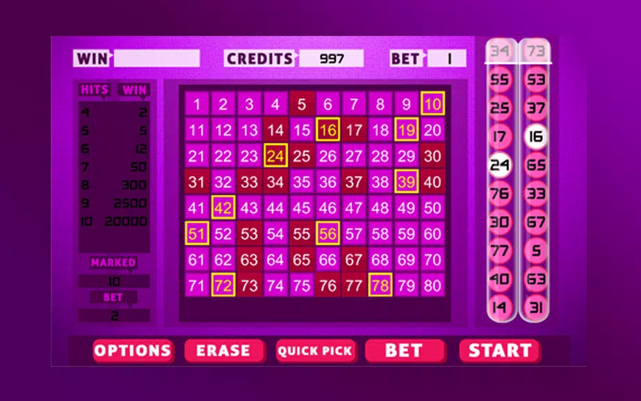 Keno Bingo Screenshot4