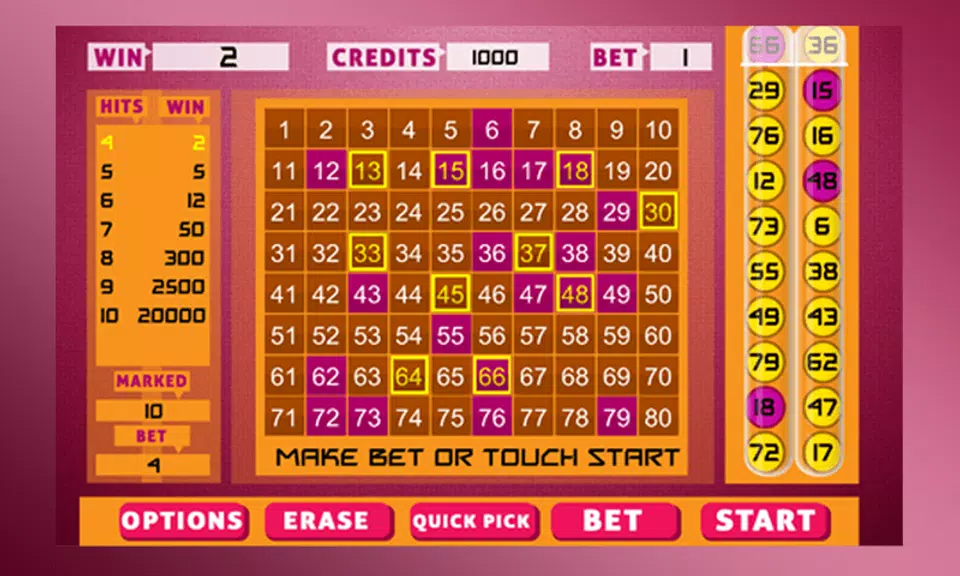 Keno Bingo Screenshot2