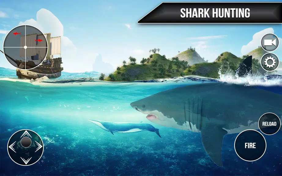 Wild Shark Fish Hunting game Screenshot4