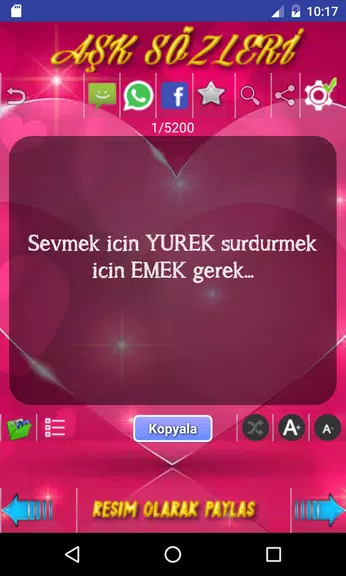 Seni Seviyorum Sözleri Screenshot2