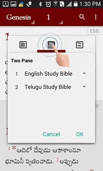 Study Bibles (Multiple Languag Screenshot3