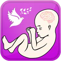 Pregnancy Guide - Baby Tracker APK